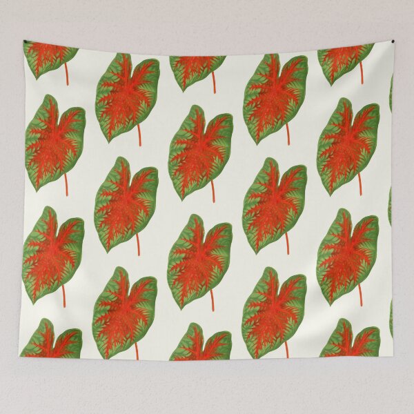 Item preview, Caladium Postman Joyner - botanical illustration designed and sold by chimakingthings.