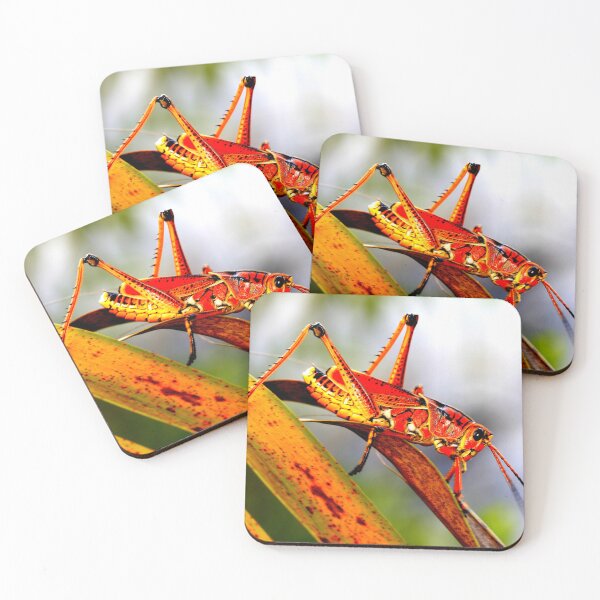 Item preview, Mosquito photo with high resolution quality designed and sold by Allyouneed-2.
