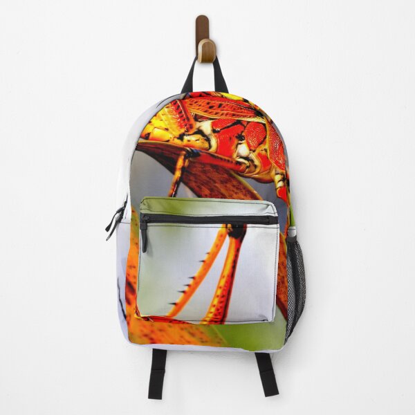 Item preview, Mosquito photo with high resolution quality designed and sold by Allyouneed-2.