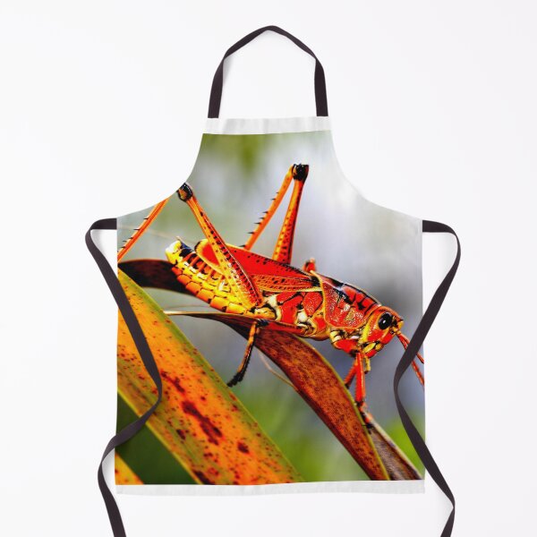 Item preview, Mosquito photo with high resolution quality designed and sold by Allyouneed-2.