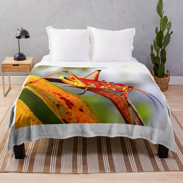 Item preview, Mosquito photo with high resolution quality designed and sold by Allyouneed-2.