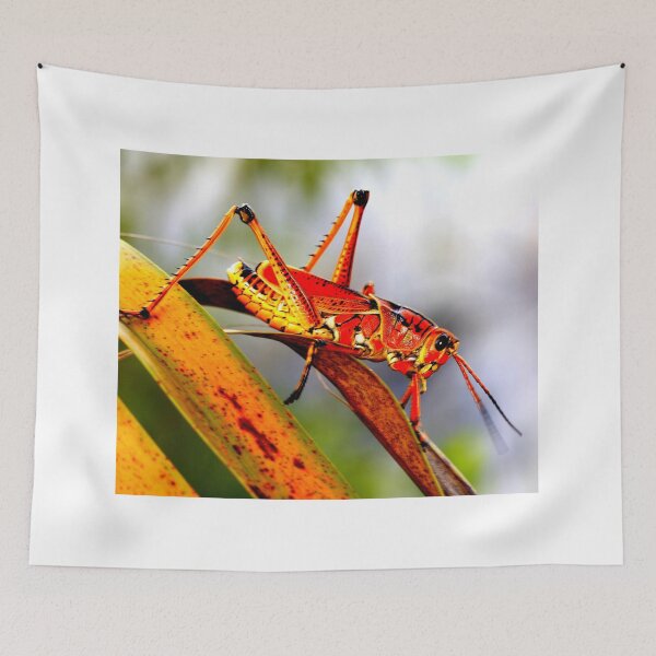 Item preview, Mosquito photo with high resolution quality designed and sold by Allyouneed-2.
