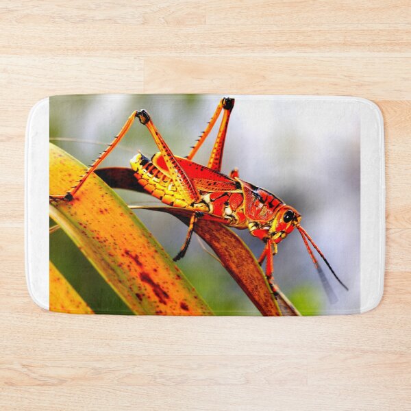 Item preview, Mosquito photo with high resolution quality designed and sold by Allyouneed-2.