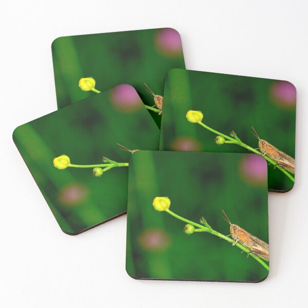Item preview, Mosquito photo with high resolution quality designed and sold by Allyouneed-2.