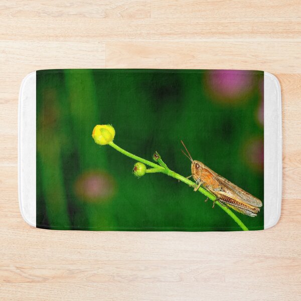 Item preview, Mosquito photo with high resolution quality designed and sold by Allyouneed-2.