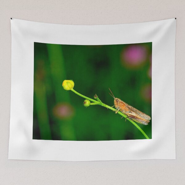 Item preview, Mosquito photo with high resolution quality designed and sold by Allyouneed-2.