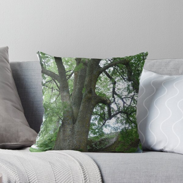 Item preview, Ash Tree designed and sold by HELUA.