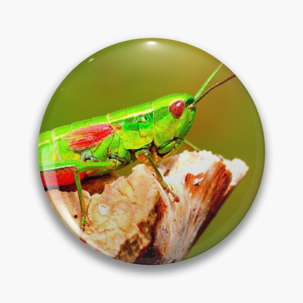 Item preview, Foto de mosquito con calidad de alta resolución. designed and sold by Allyouneed-2.