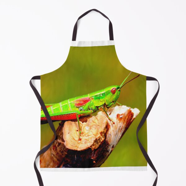 Item preview, Foto de mosquito con calidad de alta resolución. designed and sold by Allyouneed-2.