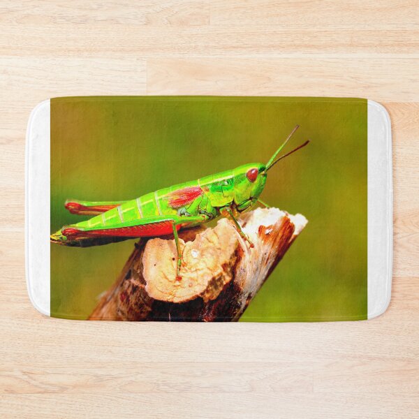 Item preview, Mosquito photo with high resolution quality designed and sold by Allyouneed-2.