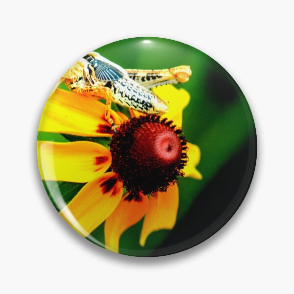 Item preview, Foto de mosquito con calidad de alta resolución. designed and sold by Allyouneed-2.