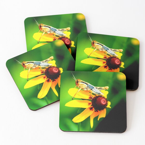 Item preview,  Mosquito photo with high resolution quality designed and sold by Allyouneed-2.