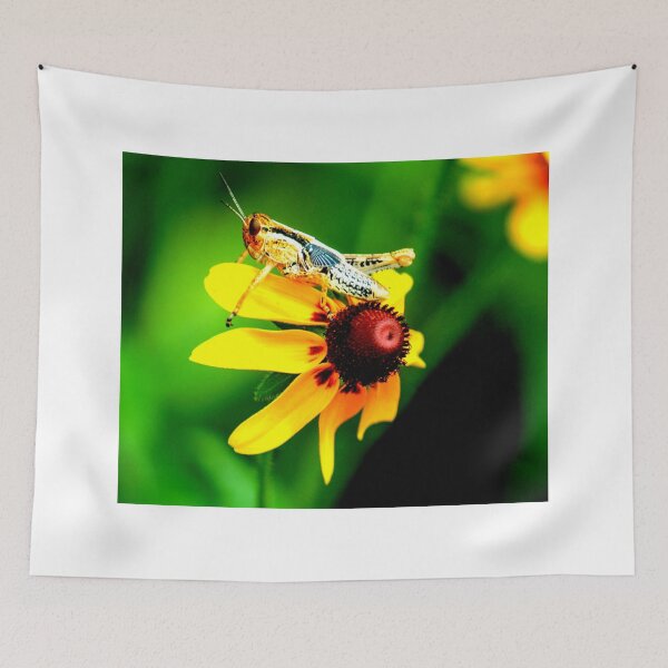 Item preview,  Mosquito photo with high resolution quality designed and sold by Allyouneed-2.