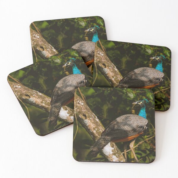 Item preview, Peacock in the wild designed and sold by kasthu.