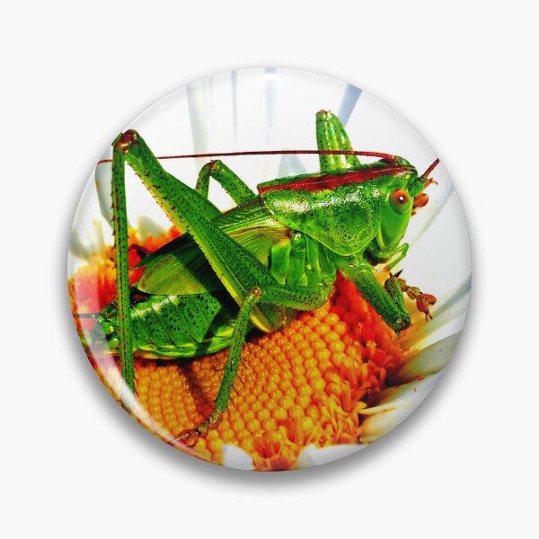 Item preview, Foto de mosquito con calidad de alta resolución. designed and sold by Allyouneed-2.