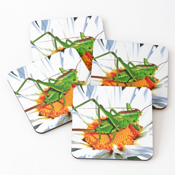 Item preview,  Mosquito photo with high resolution quality designed and sold by Allyouneed-2.