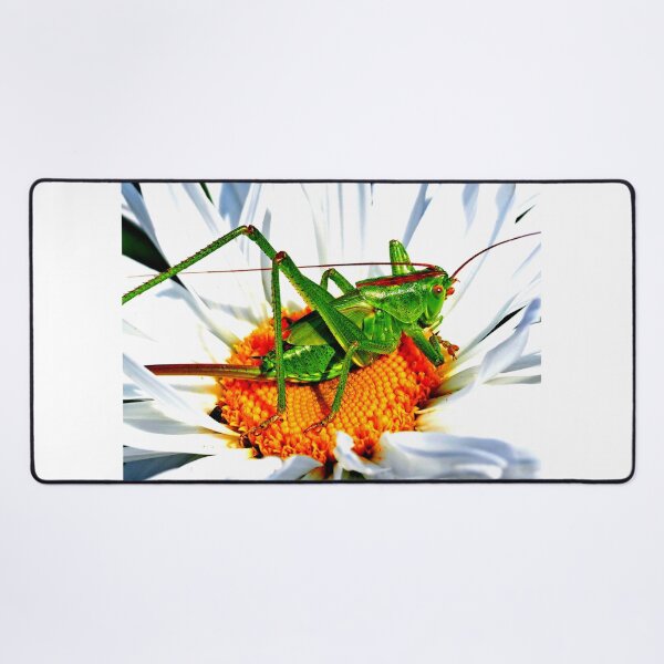 Item preview, Mosquito photo with high resolution quality designed and sold by Allyouneed-2.