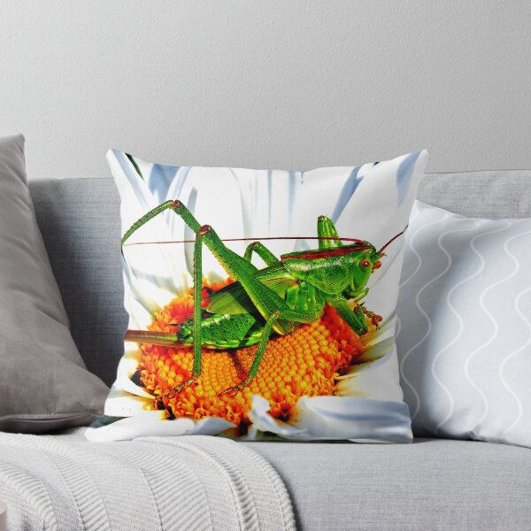 Item preview,  Mosquito photo with high resolution quality designed and sold by Allyouneed-2.