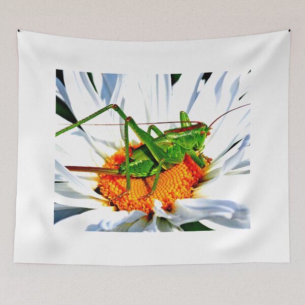 Item preview,  Mosquito photo with high resolution quality designed and sold by Allyouneed-2.