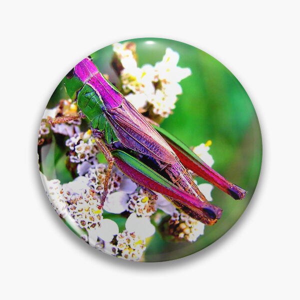 Item preview, Foto de mosquito con calidad de alta resolución. designed and sold by Allyouneed-2.