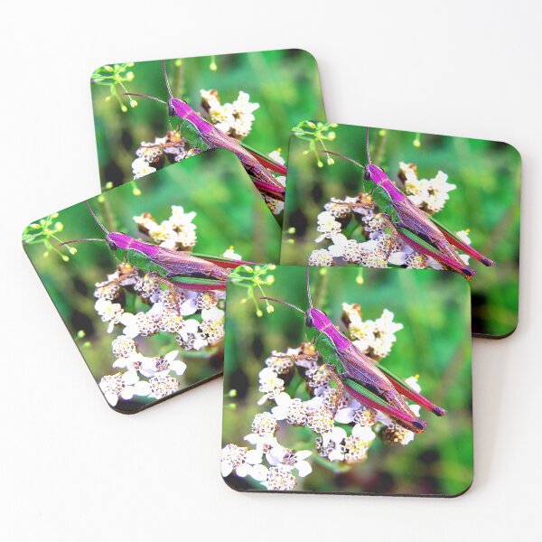 Item preview, Mosquito photo with high resolution quality designed and sold by Allyouneed-2.