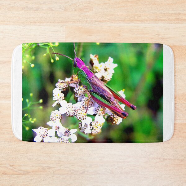 Item preview, Mosquito photo with high resolution quality designed and sold by Allyouneed-2.