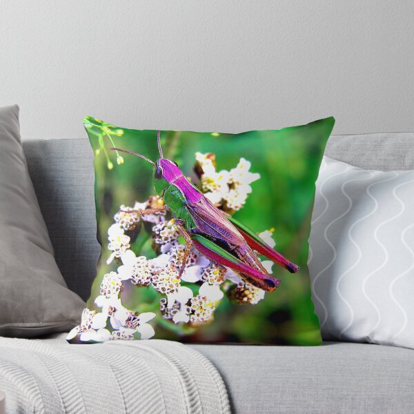 Item preview, Mosquito photo with high resolution quality designed and sold by Allyouneed-2.