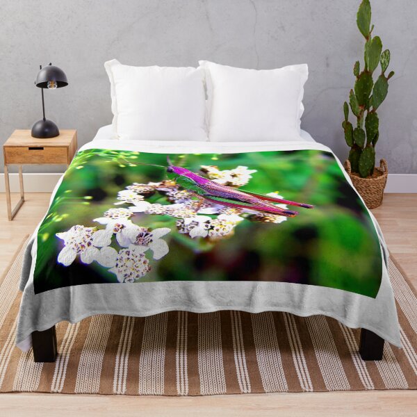 Item preview, Mosquito photo with high resolution quality designed and sold by Allyouneed-2.