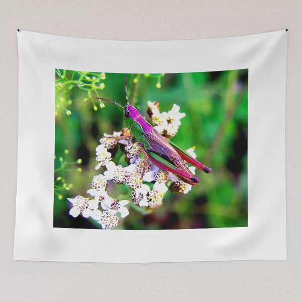 Item preview, Mosquito photo with high resolution quality designed and sold by Allyouneed-2.