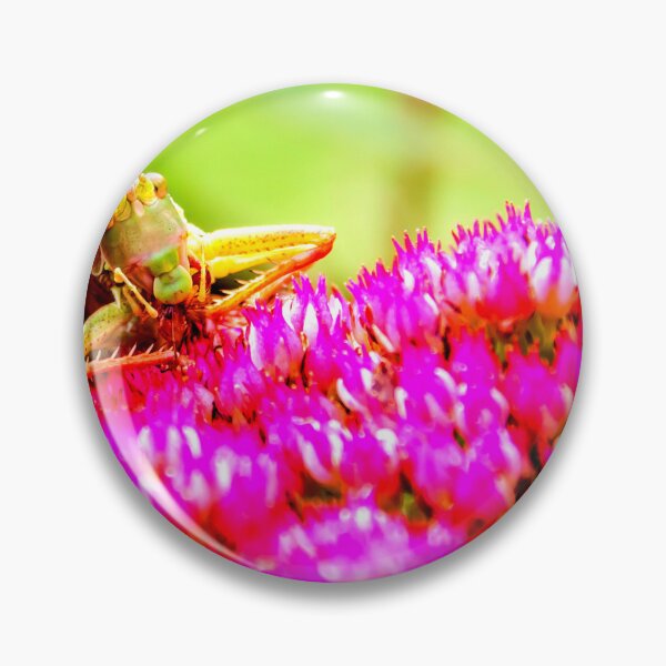 Item preview, Foto de mosquito con calidad de alta resolución. designed and sold by Allyouneed-2.