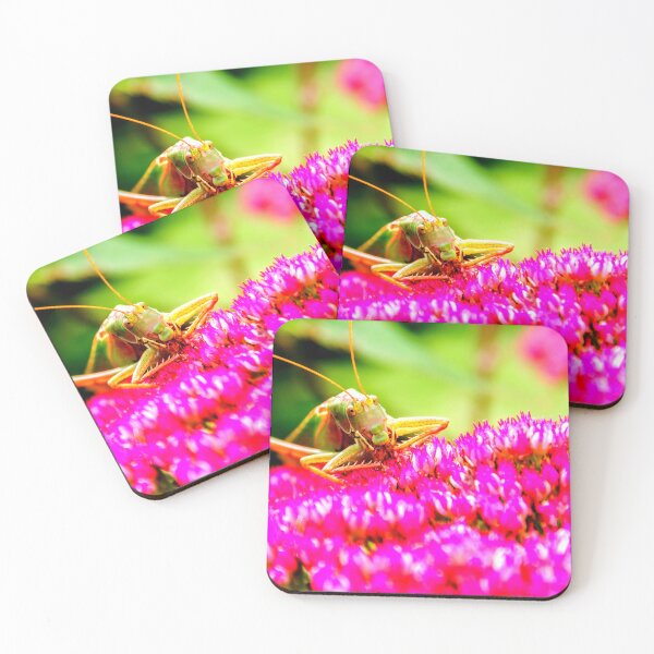 Item preview, Mosquito photo with high resolution quality designed and sold by Allyouneed-2.