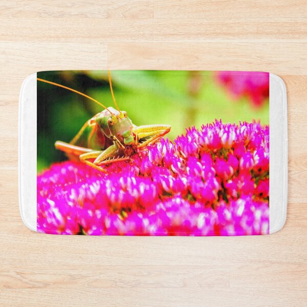 Item preview, Mosquito photo with high resolution quality designed and sold by Allyouneed-2.