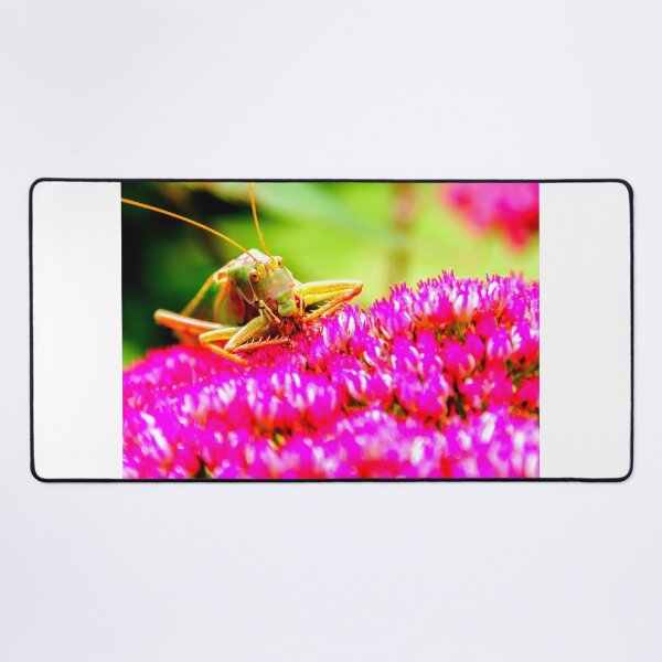 Item preview, Mosquito photo with high resolution quality designed and sold by Allyouneed-2.
