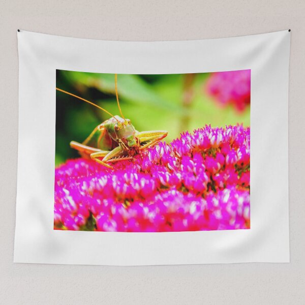 Item preview, Mosquito photo with high resolution quality designed and sold by Allyouneed-2.