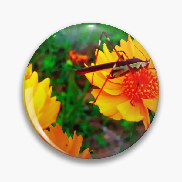 Item preview, Foto de mosquito con calidad de alta resolución. designed and sold by Allyouneed-2.