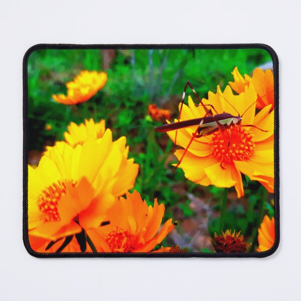 Item preview, Mosquito photo with high resolution quality designed and sold by Allyouneed-2.
