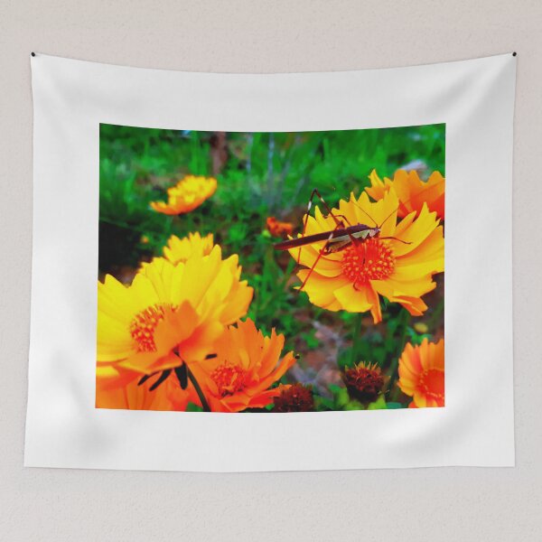 Item preview, Mosquito photo with high resolution quality designed and sold by Allyouneed-2.