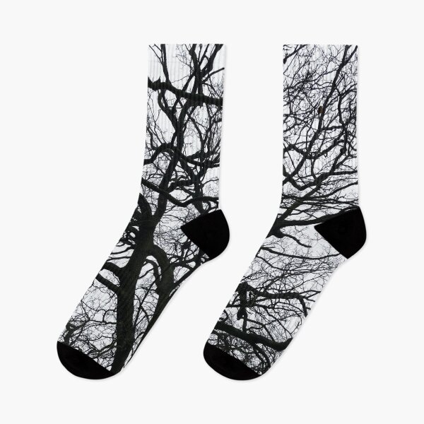 Item preview, Winter Tree Brunches designed and sold by Danny Cazzato.