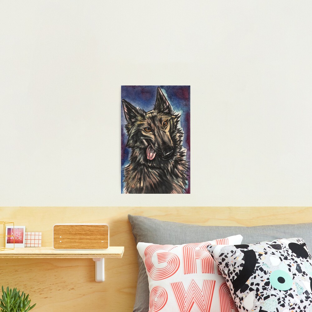Goofy Shep Photographic Print