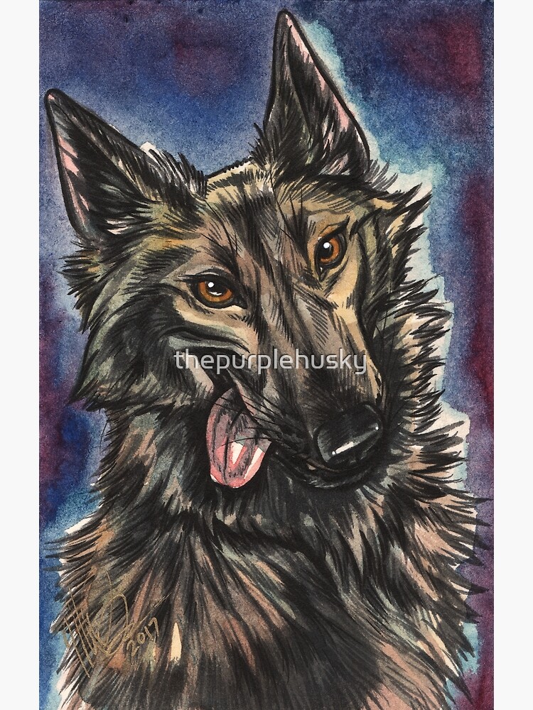 Goofy Shep by thepurplehusky