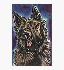 Goofy Shep Photographic Print