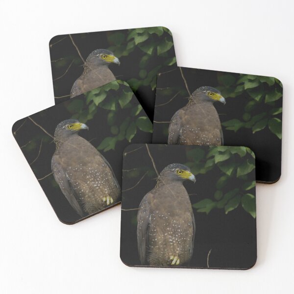 Item preview, Crested serpent eagle designed and sold by kasthu.