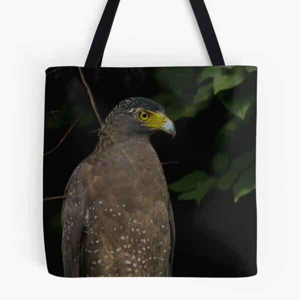 Item preview, Crested serpent eagle designed and sold by kasthu.