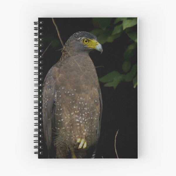 Item preview, Crested serpent eagle designed and sold by kasthu.