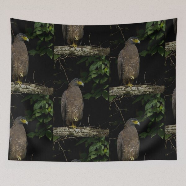 Item preview, Crested serpent eagle designed and sold by kasthu.
