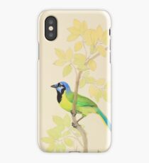 Colorful Green Jay with Foliage iPhone Case