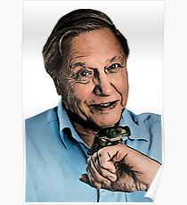 David Attenborough Poster