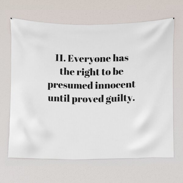 Item preview, Universal Declaration of Human Rights Article 11 designed and sold by Freihalt.