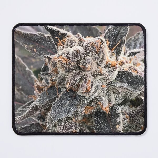 Item preview, Cannabis in close up designed and sold by Quail-Vine.