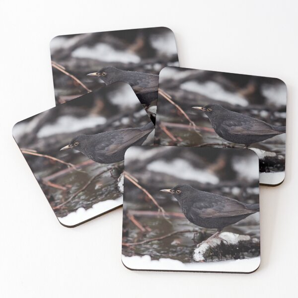 Item preview, By the dark brook. Eurasian blackbird designed and sold by Jouko Lehto Photography.